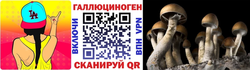 Купить закладки  Белоярский  Псилоцибиновые грибы мухоморы 